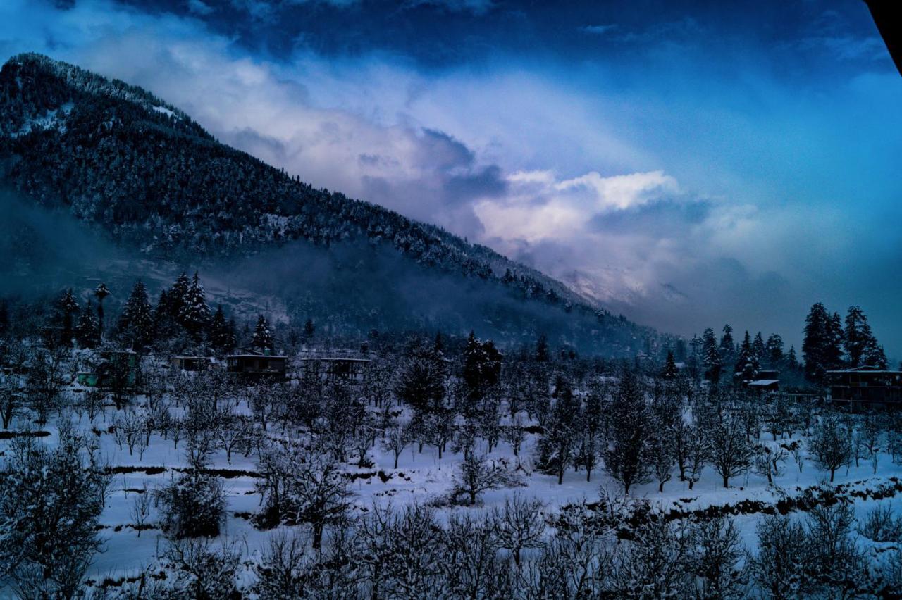 Alt Life - Manali Hostel Buitenkant foto